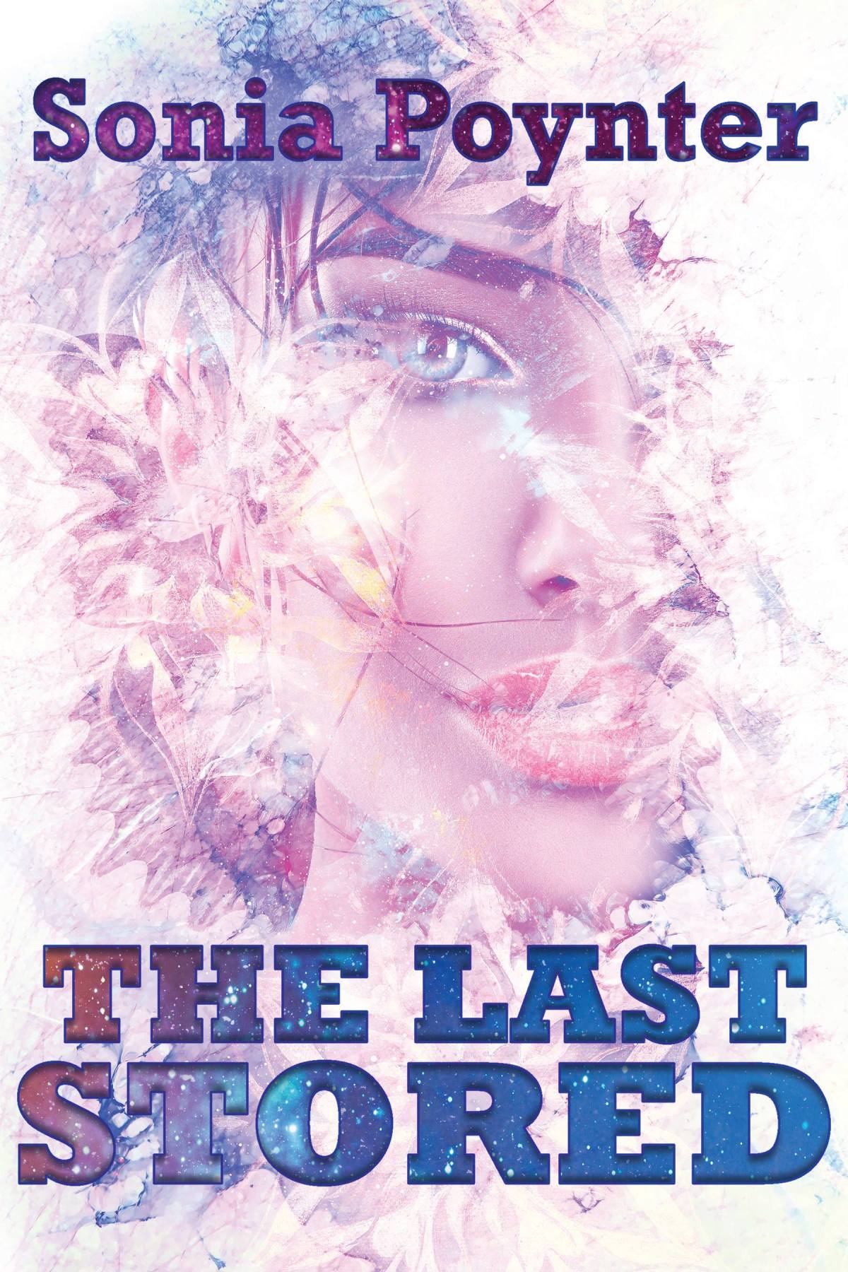 The Last Stored Cover 2nd edition