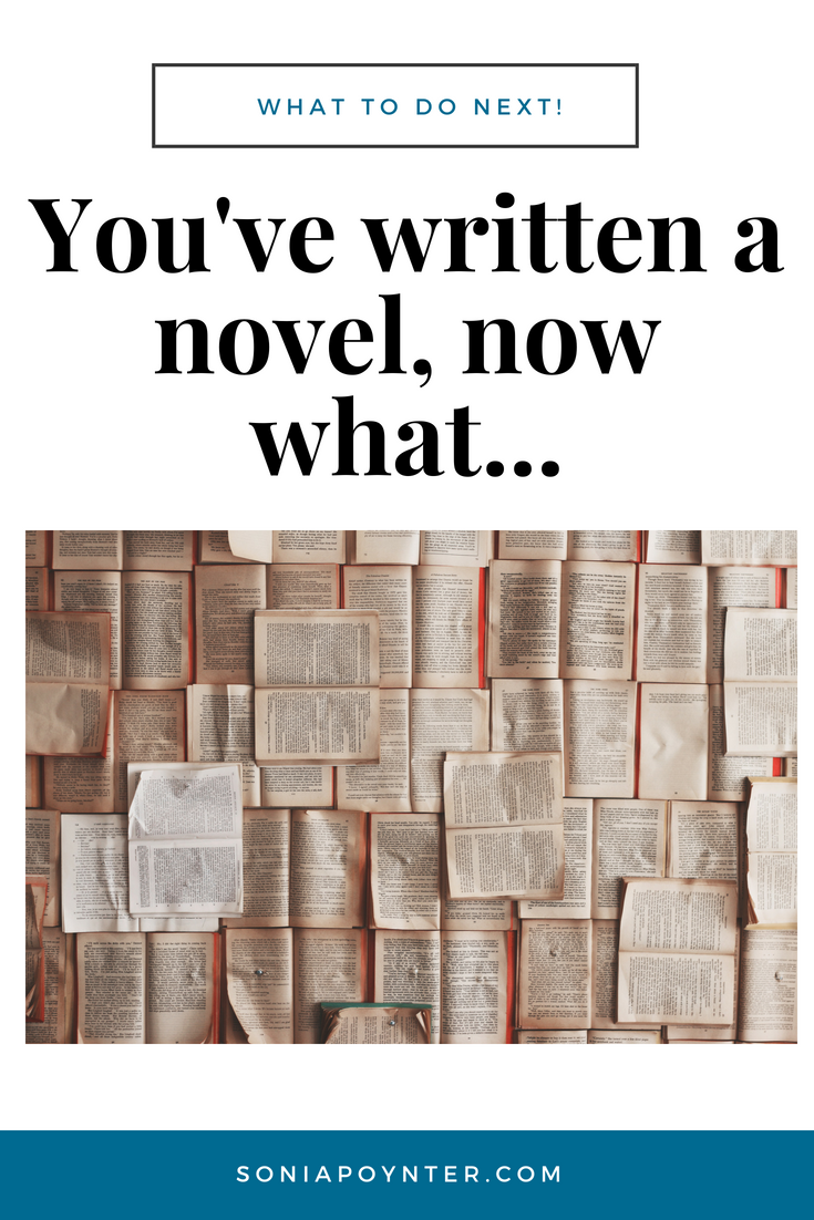 You've written a novel...